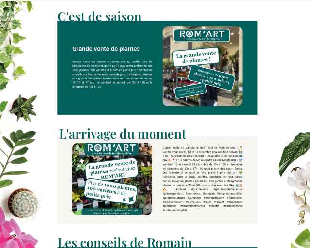 Page dédiée aux plantes d'intérieur et conseils horticoles réalisée par Digital 34